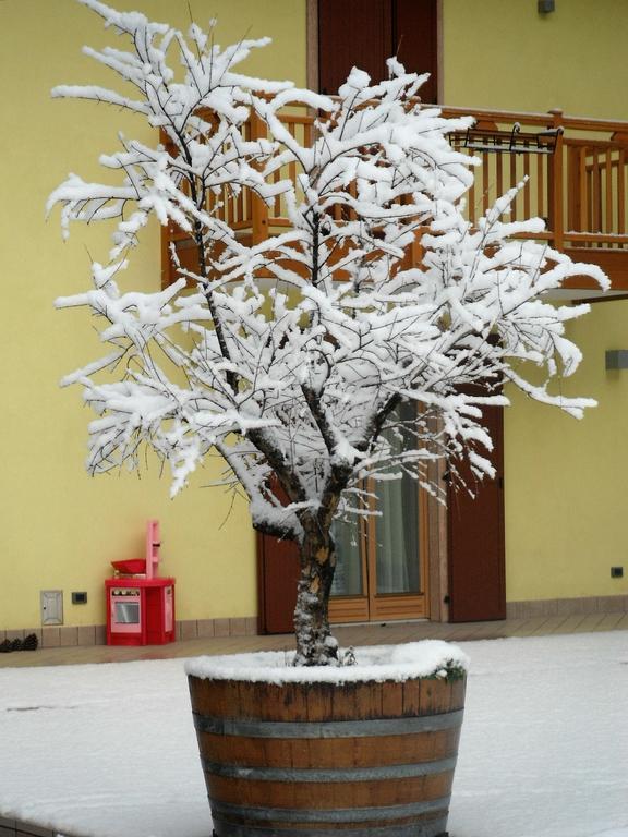 Agritur Ai Masi Villa Pergolese Luaran gambar